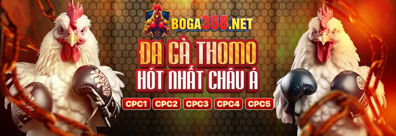 Sân đấu đá gà trực tuyến Bet666 sôi động