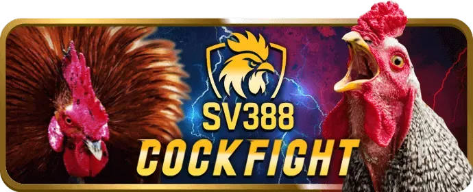 Tải Bet666 APP